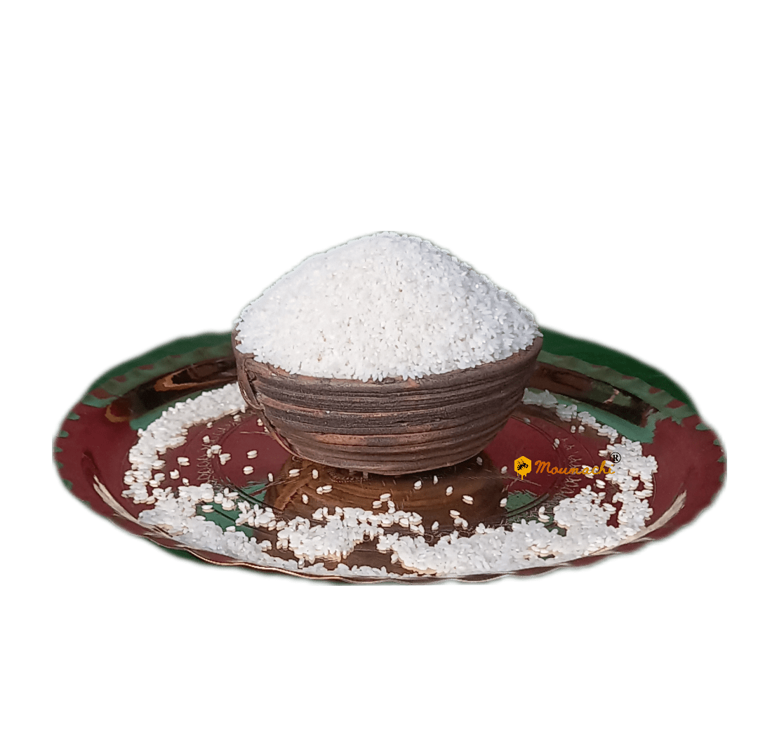 BackgroundEraser_20251220_050035553